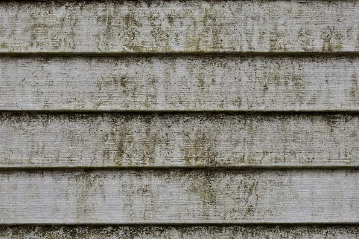 Before — soft-washed bungalow, River Heights